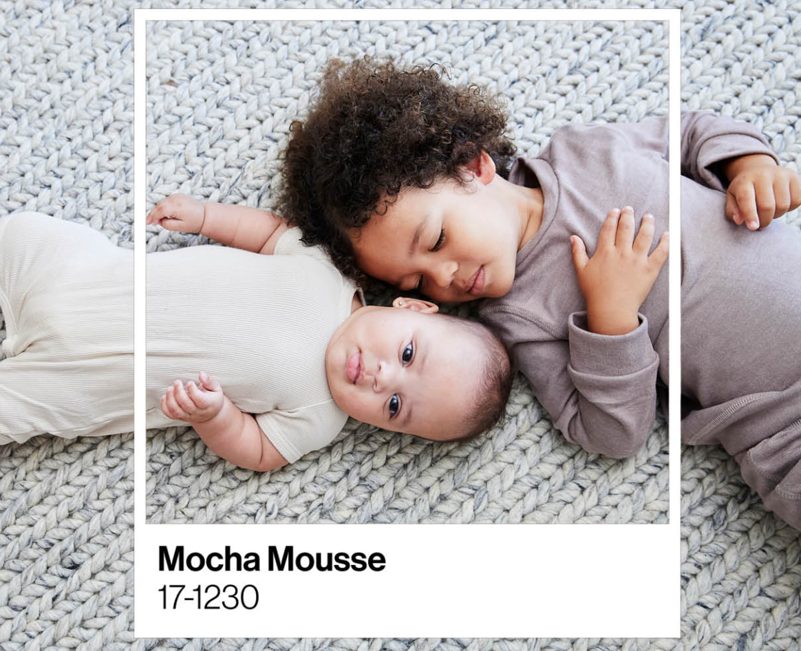 Pantone Color of the Year 2025: Mocha Mousse